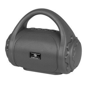 Zebronics portable Bluetooth speaker with built-in handle and powerful wireless sound in black color